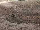 Militracks Overloon 2025, Veranstaltung, Event, Fahrzeuge der Wehrmacht, Sd.Kfz., Panzer