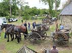 Pferd, Kavallerie, Heeresfeldwagen, Feldwagen, Zweiter Weltkrieg, Kutsche, Pferdekutsche, Wehrmacht