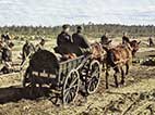 Pferd, Kavallerie, Heeresfeldwagen, Feldwagen, Reiter, Wehrmacht, historisches Farbfoto, Originalaufnahme